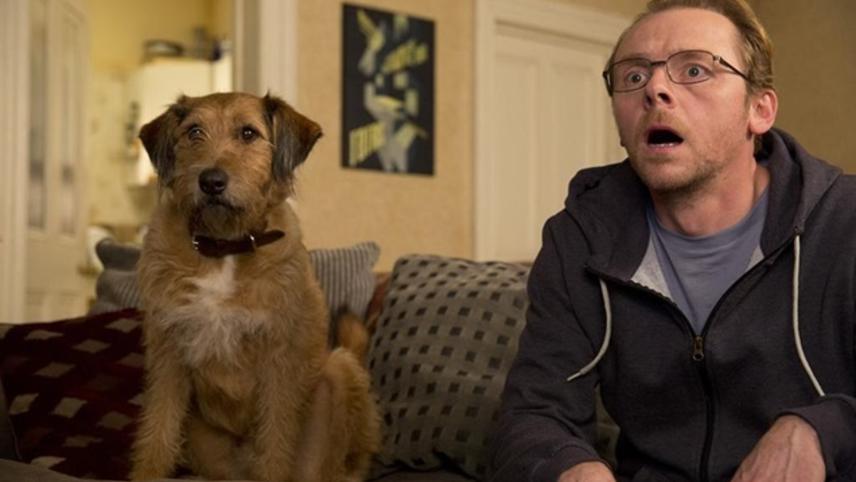 ყველაფერი შემიძლია  ქართულად -  Absolutely Anything