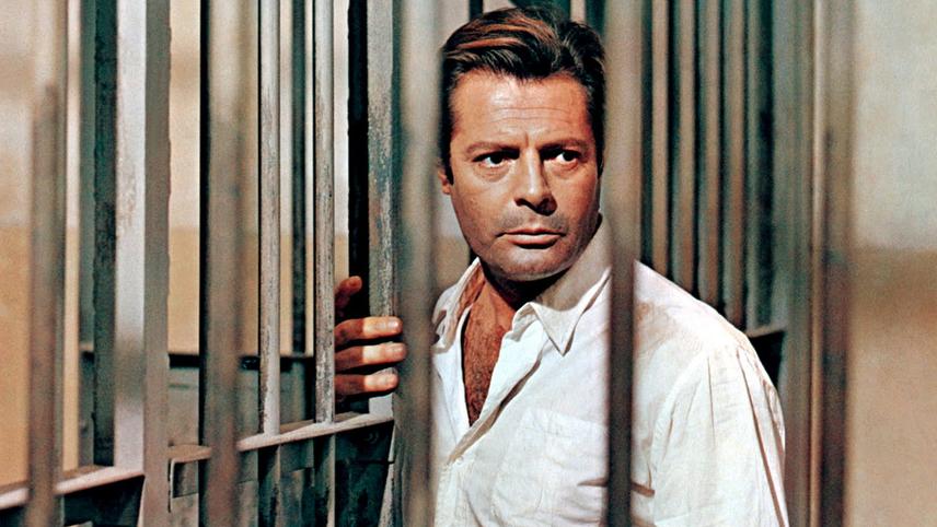 უცხო  ქართულად -  The Stranger