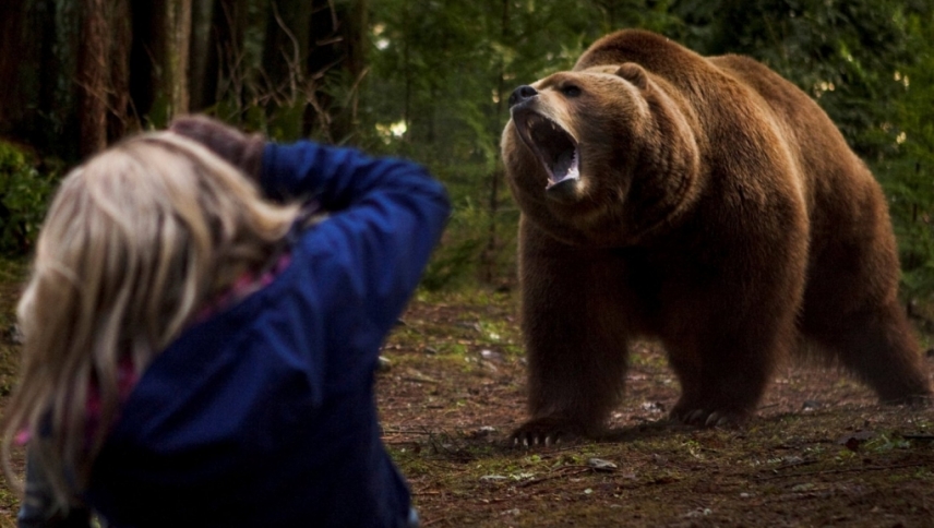 გრიზლი  ქართულად -  Into the Grizzly Maze