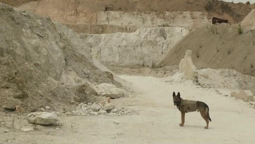 მაქსი  ქართულად -  Max