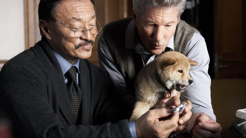 ისტორია ძაღლ ჰაჩიკოზე  ქართულად -  Hachi: A Dogs Tale