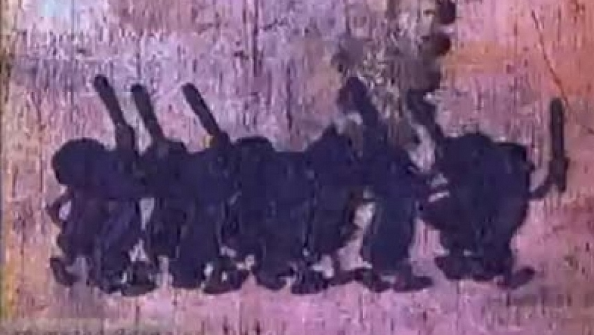 ჭრელი პეპელა