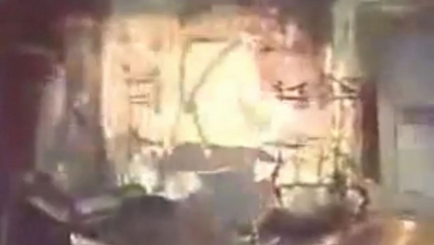 გულუბრყვილო ბატი ტასიკოს თავგადასავალი  ქართულად -  Bati Tasikos Tavgadasavali