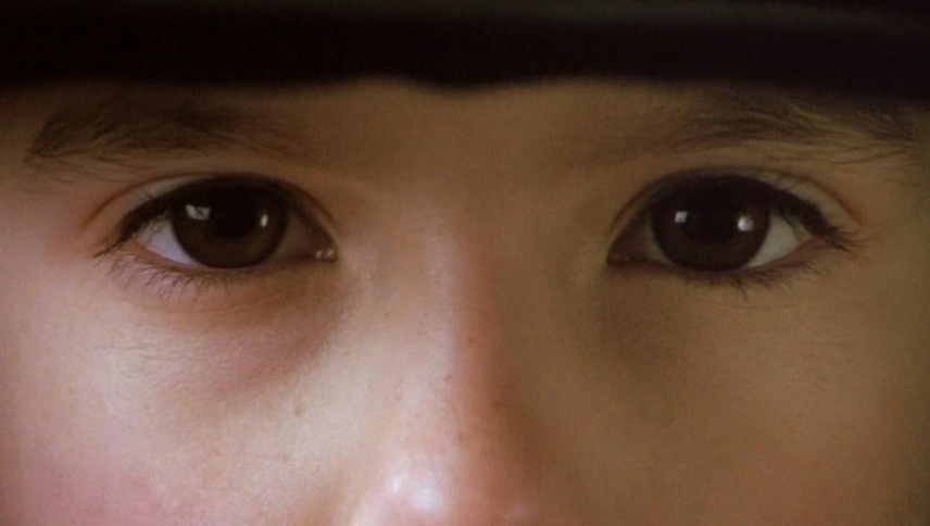 ომენი 4: გამოღვიძება  ქართულად -  Omen IV: The Awakening