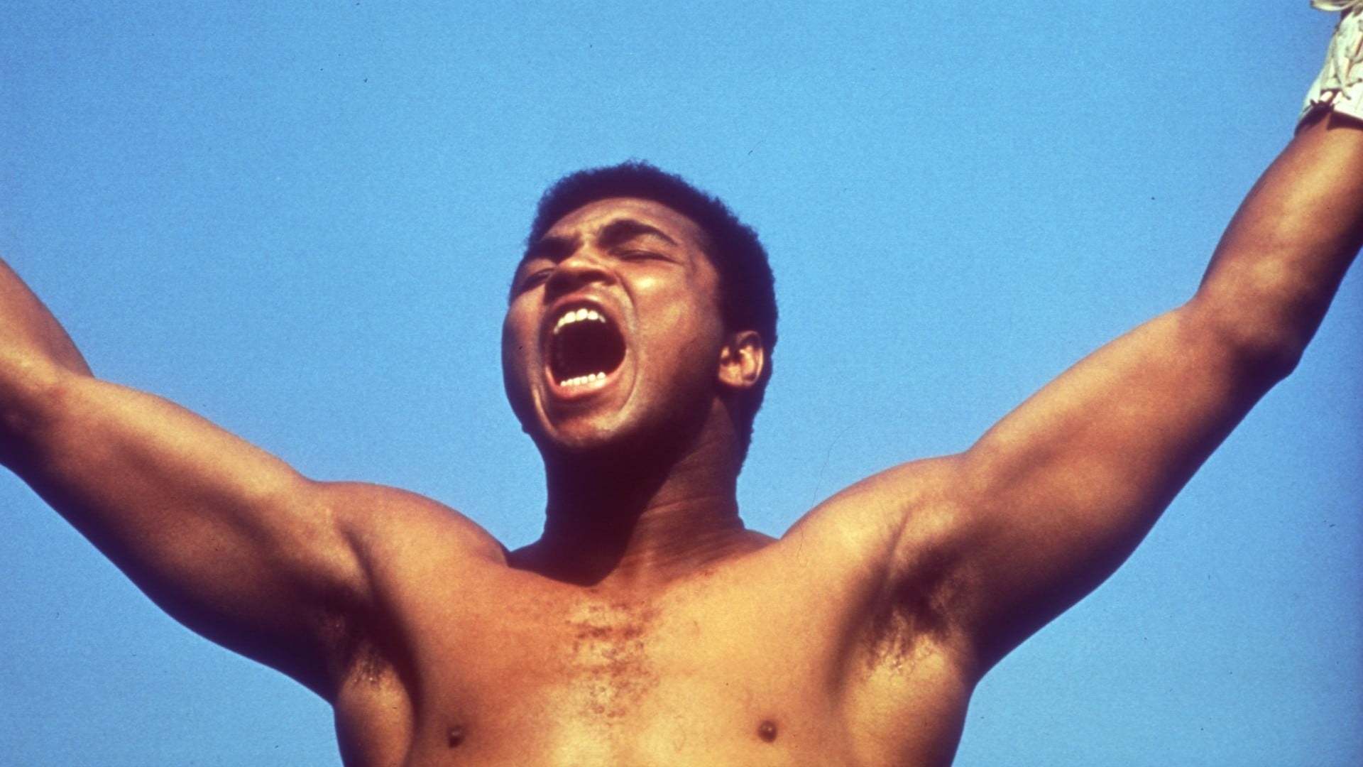 როცა მეფეები ვიყავით  ქართულად -  When We Were Kings