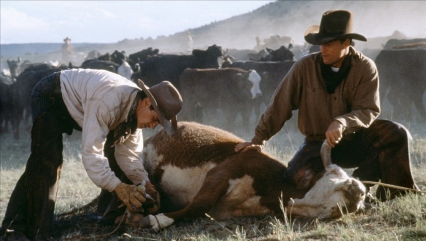 გორაკების და ტრამალების ქვეყანა  ქართულად -  The Hi-Lo Country