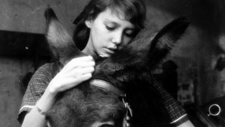 ასეთია ცხოვრება ბალთაზარ  ქართულად -  Au Hasard Balthazar