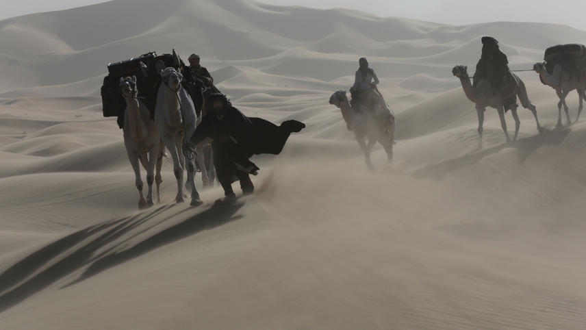 უდაბნოს დედოფალი  ქართულად -  Queen of the Desert