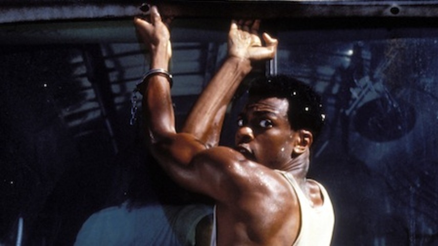 ფული ყველაფერს წყვეტს  ქართულად -  Money Talks