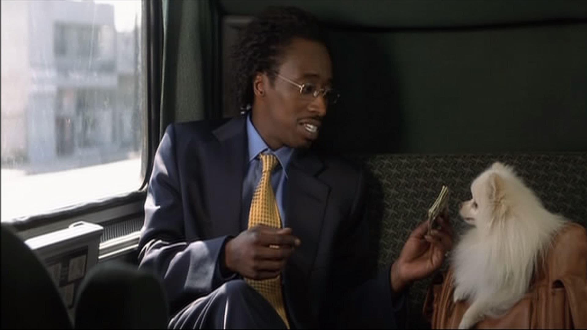 ორმაგი უსიამოვნებები  ქართულად -  Double Take