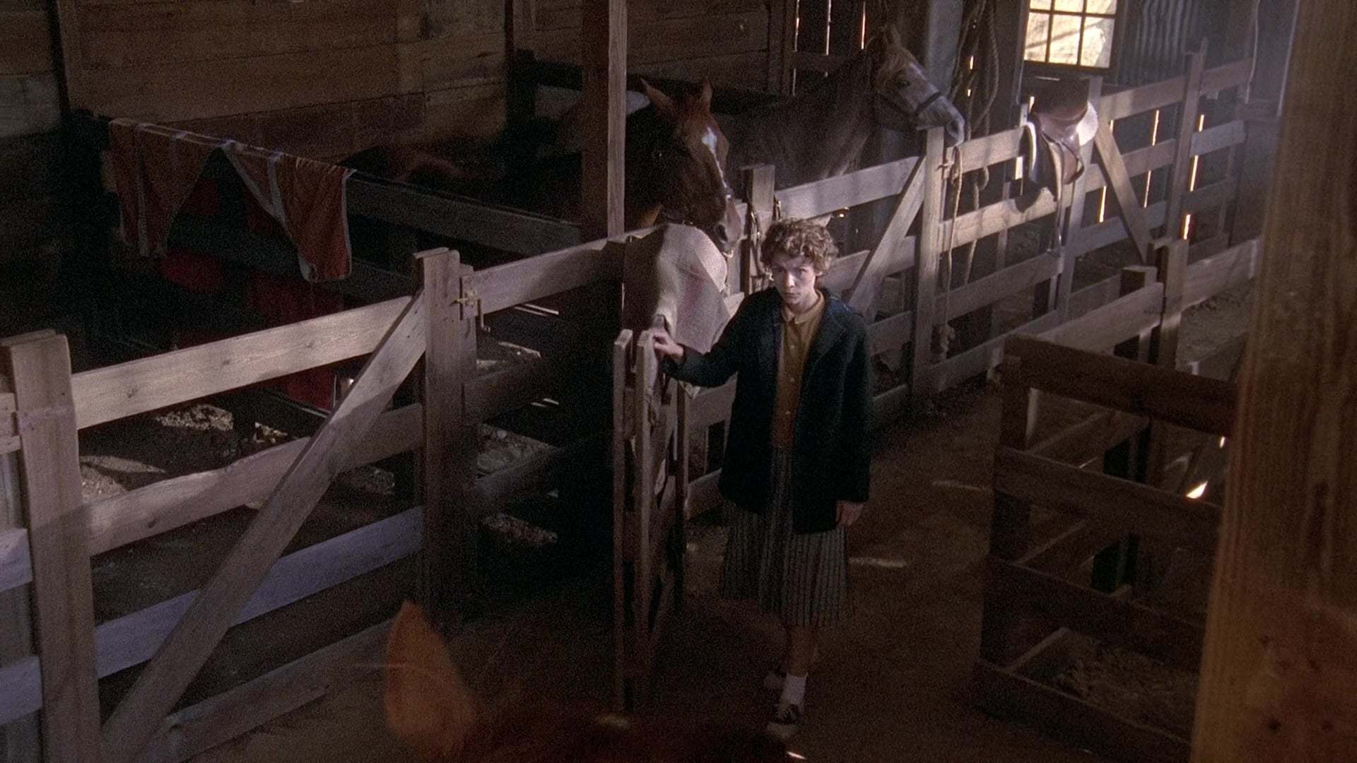 თემპლ გრანდინი  ქართულად -  Temple Grandin