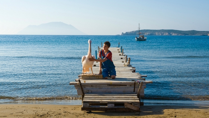 პელიკანი  ქართულად -  Nicostratos the Pelican