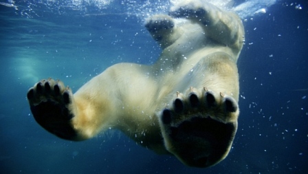 დედამიწა  ქართულად -  Earth