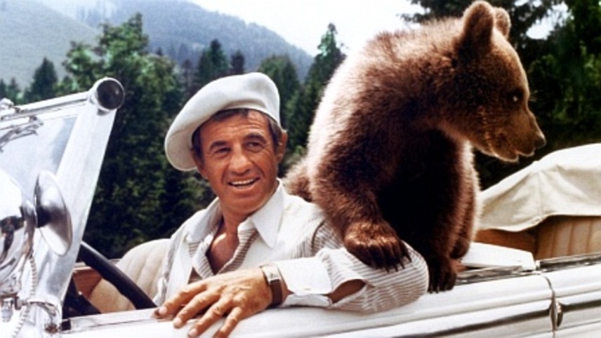 საუკეთესო საუკეთესოთა შორის  ქართულად -  Ace of Aces