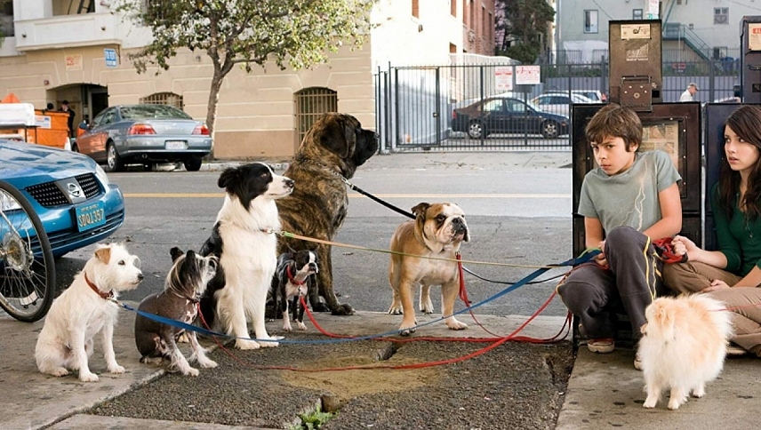 ძაღლების სასტუმრო  ქართულად -  Hotel for Dogs