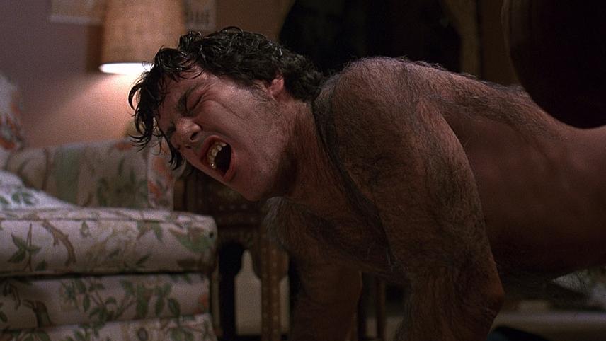 ამერიკელი მაქცია ლონდონში  ქართულად -  An American Werewolf in London