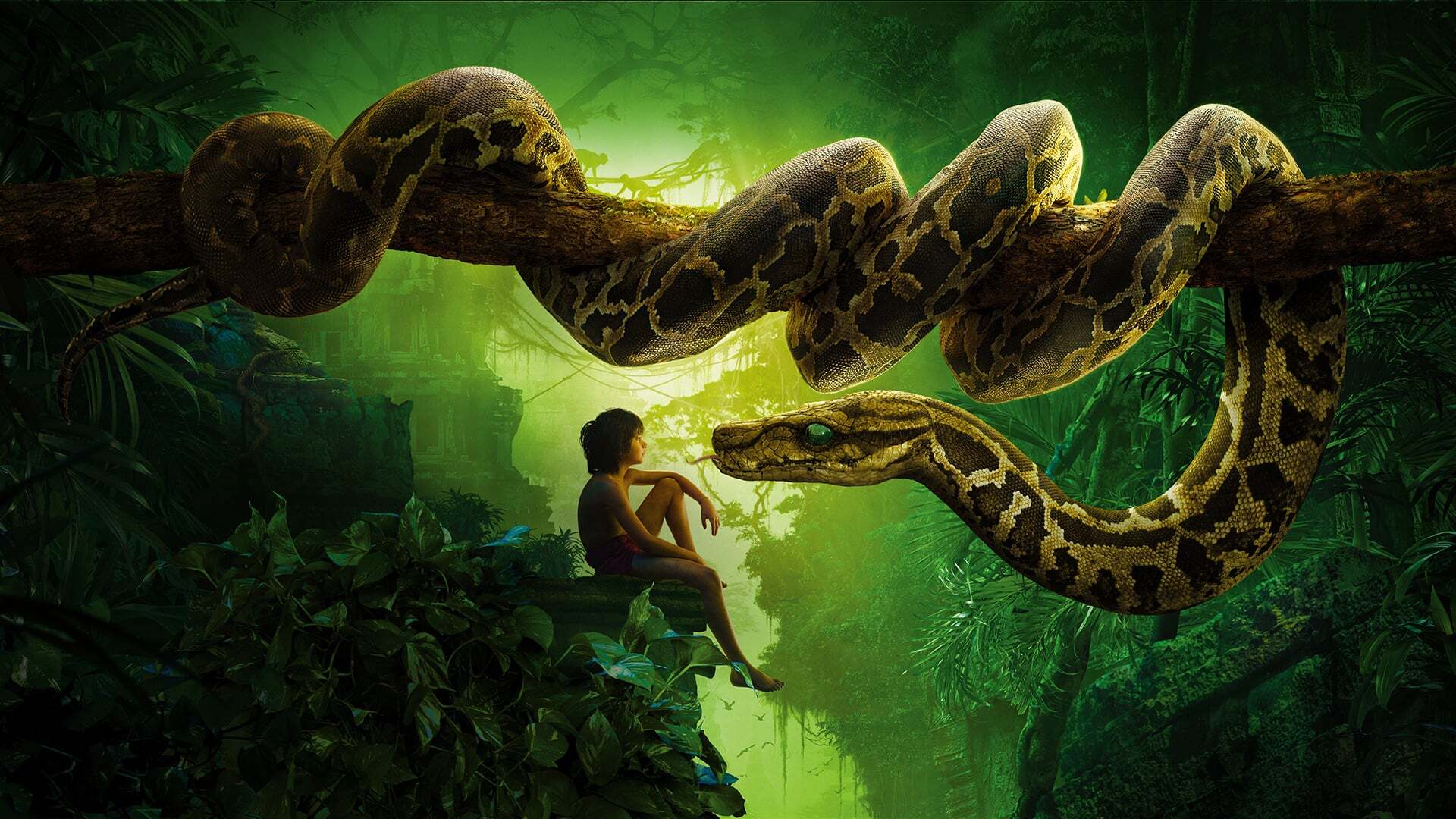 ჯუნგლების წიგნი  ქართულად -  The Jungle Book