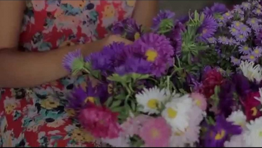 სხვისი დღე