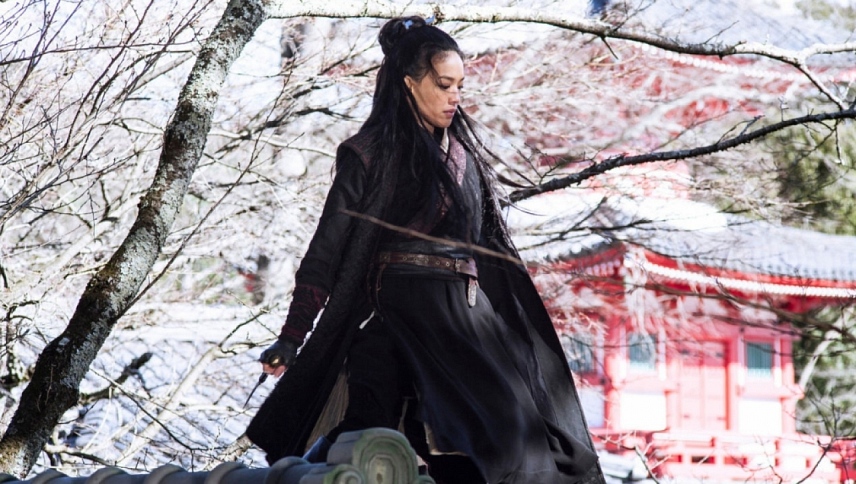 მკვლელი  ქართულად -  The Assassin