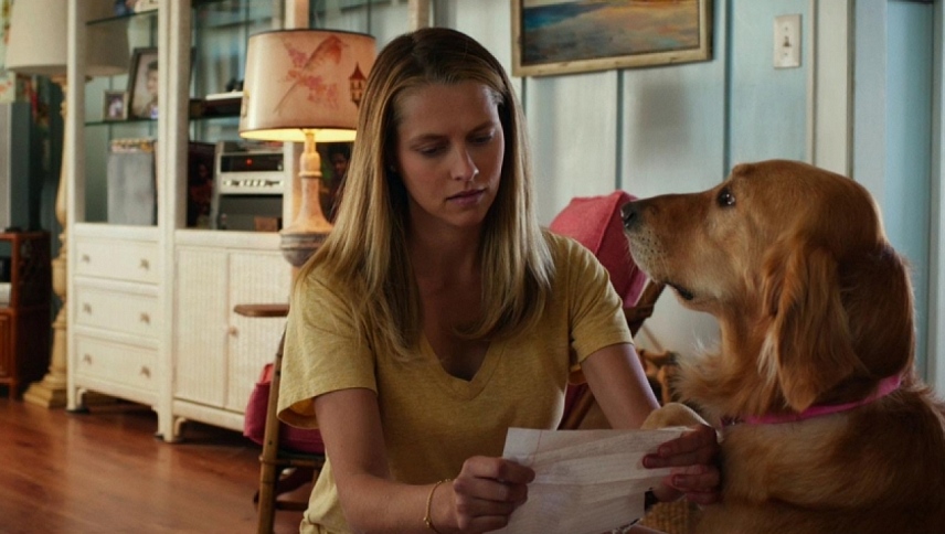 არჩევანი  ქართულად -  The Choice