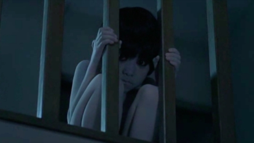 წყევლა  ქართულად -  The Grudge