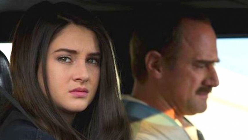 თეთრი ჩიტი ქარბუქში  ქართულად -  White Bird in a Blizzard