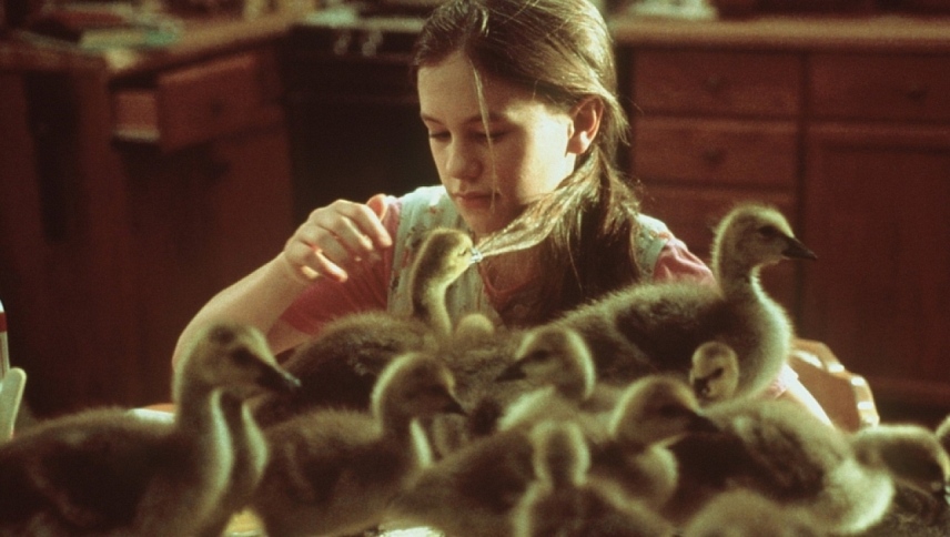 გაფრინდით სახლში  ქართულად -  Fly Away Home