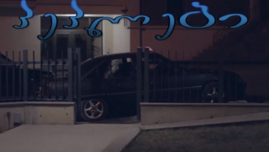 პეპლები  ქართულად -  BUTTERFLIES