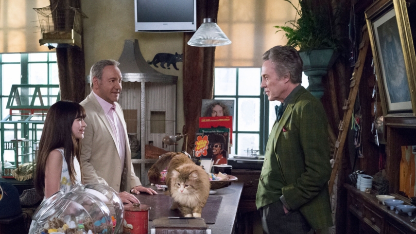 ცხრა სიცოცხლე  ქართულად -  Nine Lives