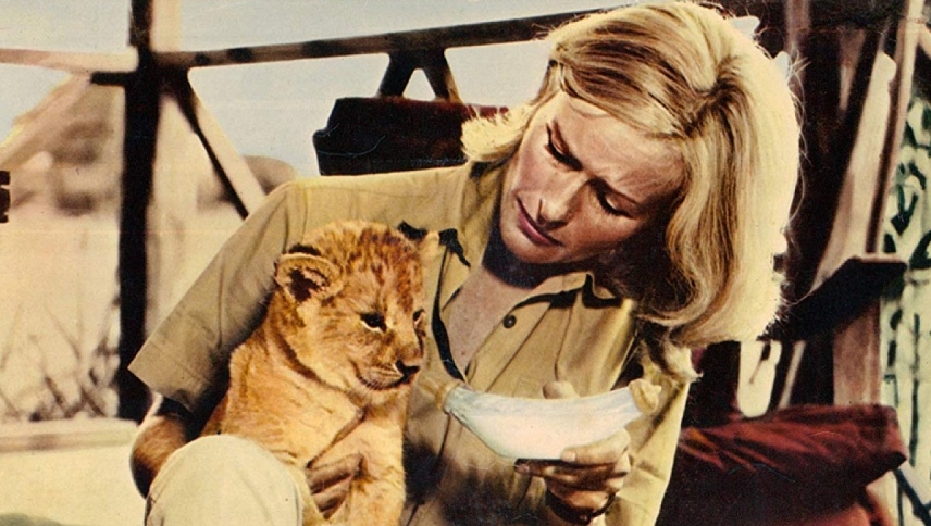 დაბადებული თავისუფლად  ქართულად -  Born Free