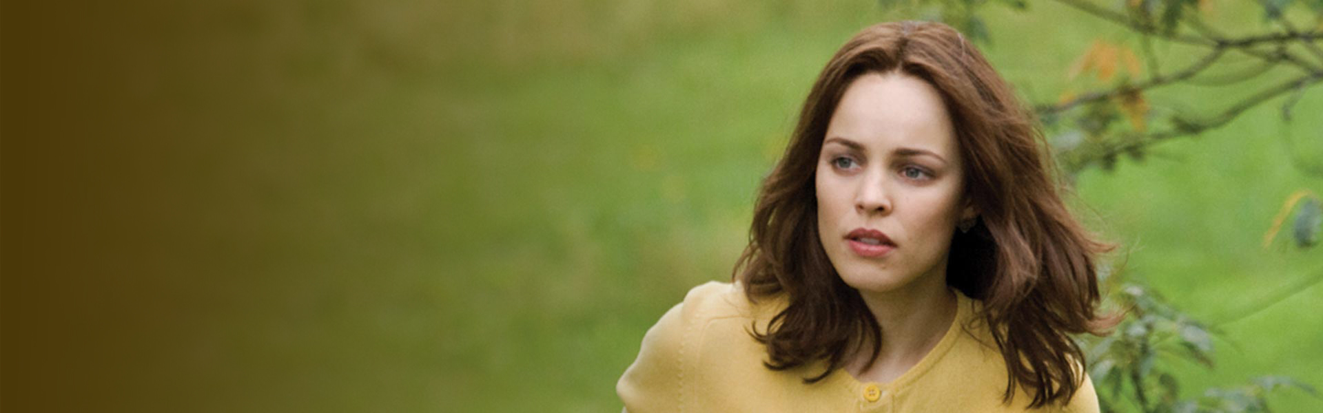 დროში მოგზაურის ცოლი  ქართულად -  The Time Travelers Wife