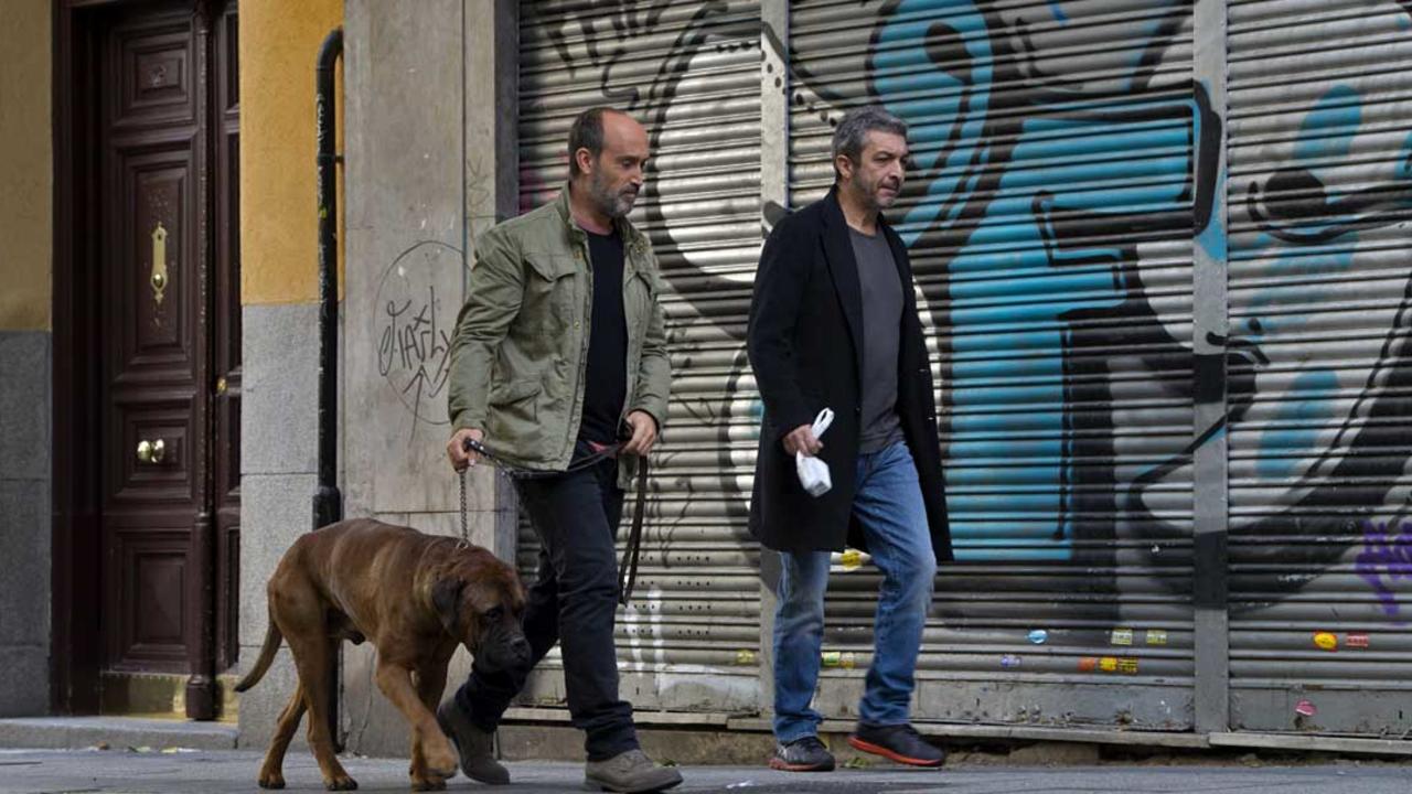 ტრუმენი  ქართულად -  Truman