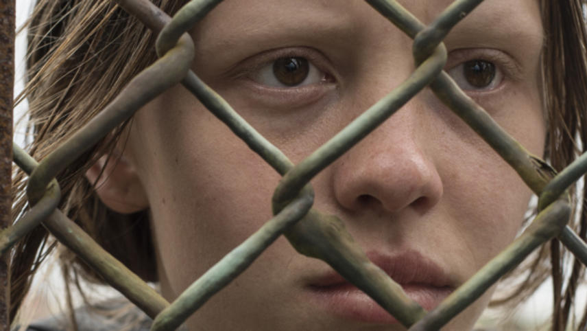 გადარჩენილი  ქართულად -  The Survivalist