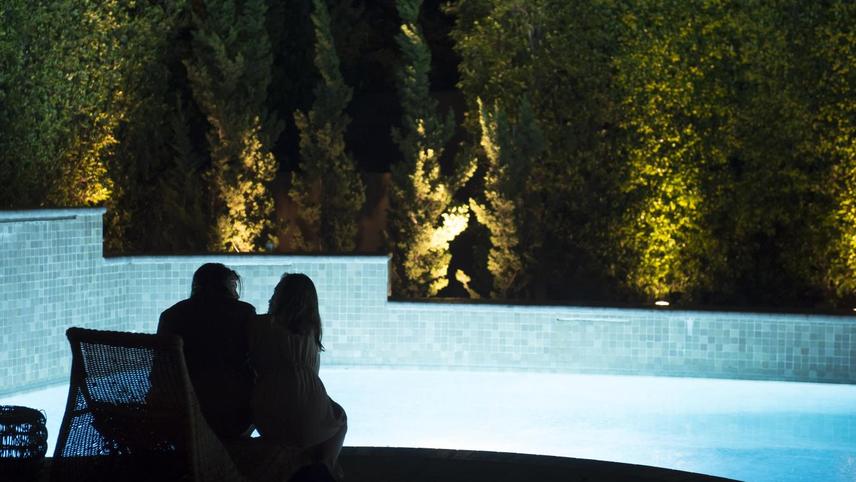 დაპატიჟება  ქართულად -  The Invitation