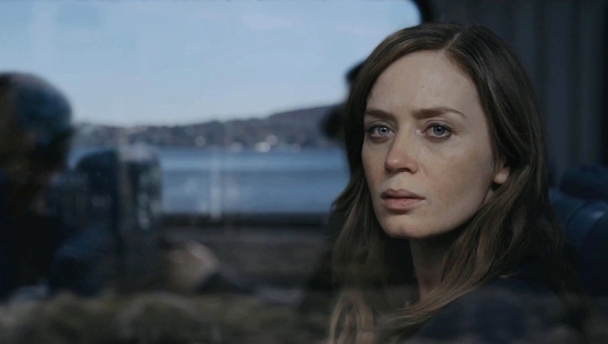 გოგონა მატარებელში  ქართულად -  The Girl on the Train