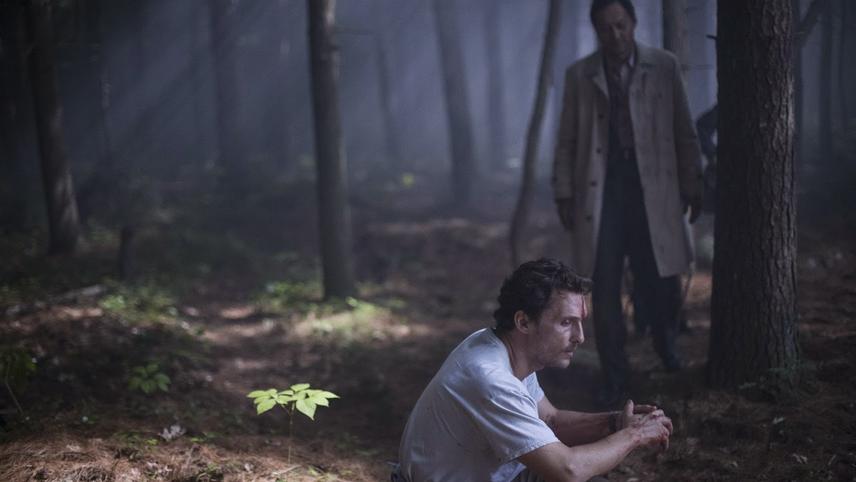 ხეების ზღვა  ქართულად -  The Sea of Trees