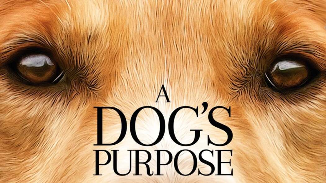 ძაღლური ცხოვრება  ქართულად -  A Dogs Purpose