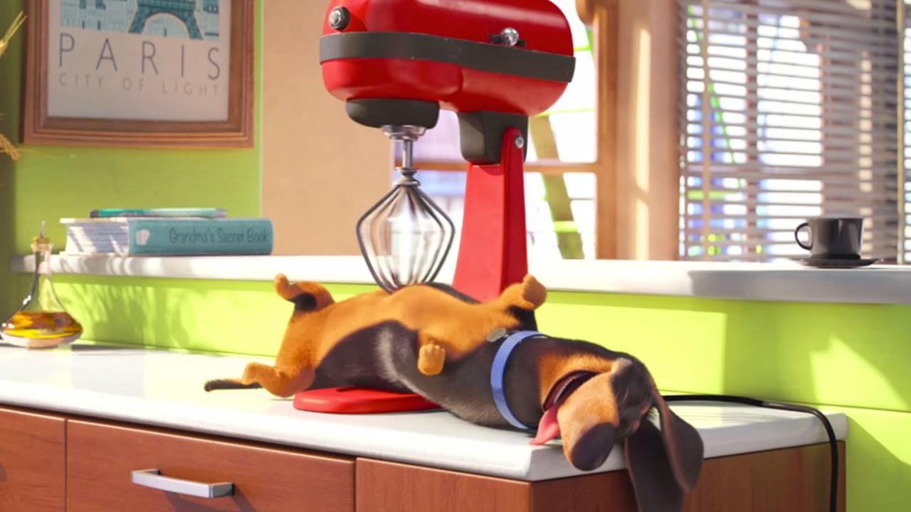 შინაური ცხოველების საიდუმლო ცხოვრება  ქართულად -  The Secret Life of Pets