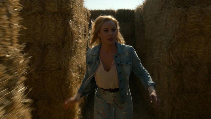 ლავანდა  ქართულად -  Lavender