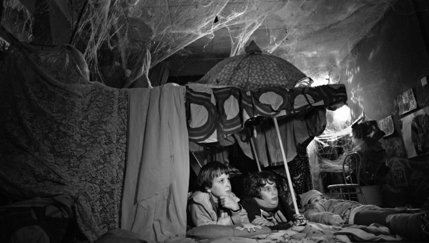 ობობის ქსელი  ქართულად -  Im Spinnwebhaus