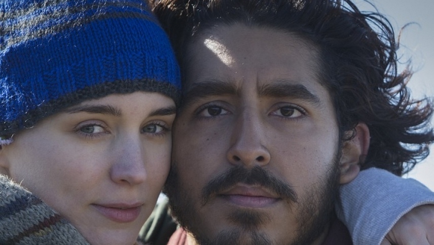 ლომი  ქართულად -  Lion