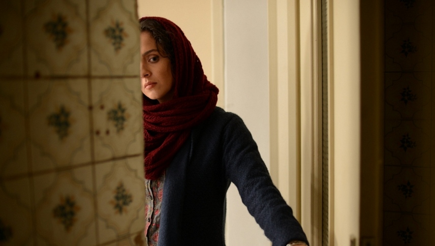 კომივოიაჟორი  ქართულად -  The Salesman