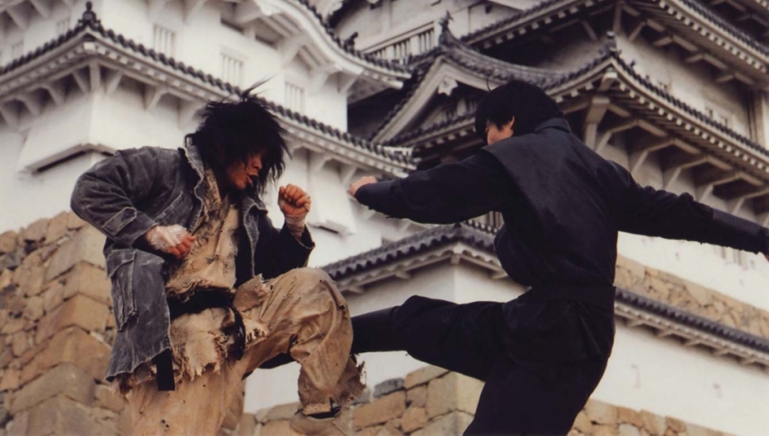 ქარის მებრძოლი  ქართულად -  Fighter in the Wind