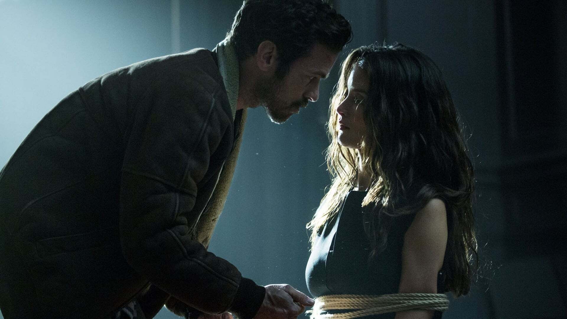 ირისის ჩრდილში  ქართულად -  Iris