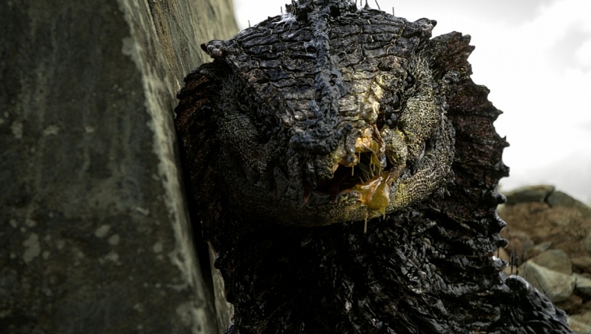 რაკკა  ქართულად -  Rakka