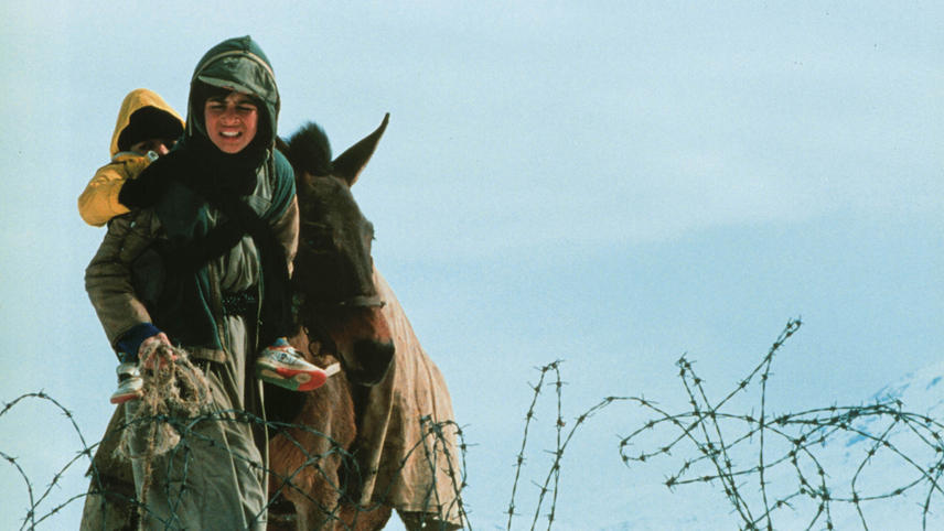 მთვრალი ცხენების დრო  ქართულად -  A Time for Drunken Horses