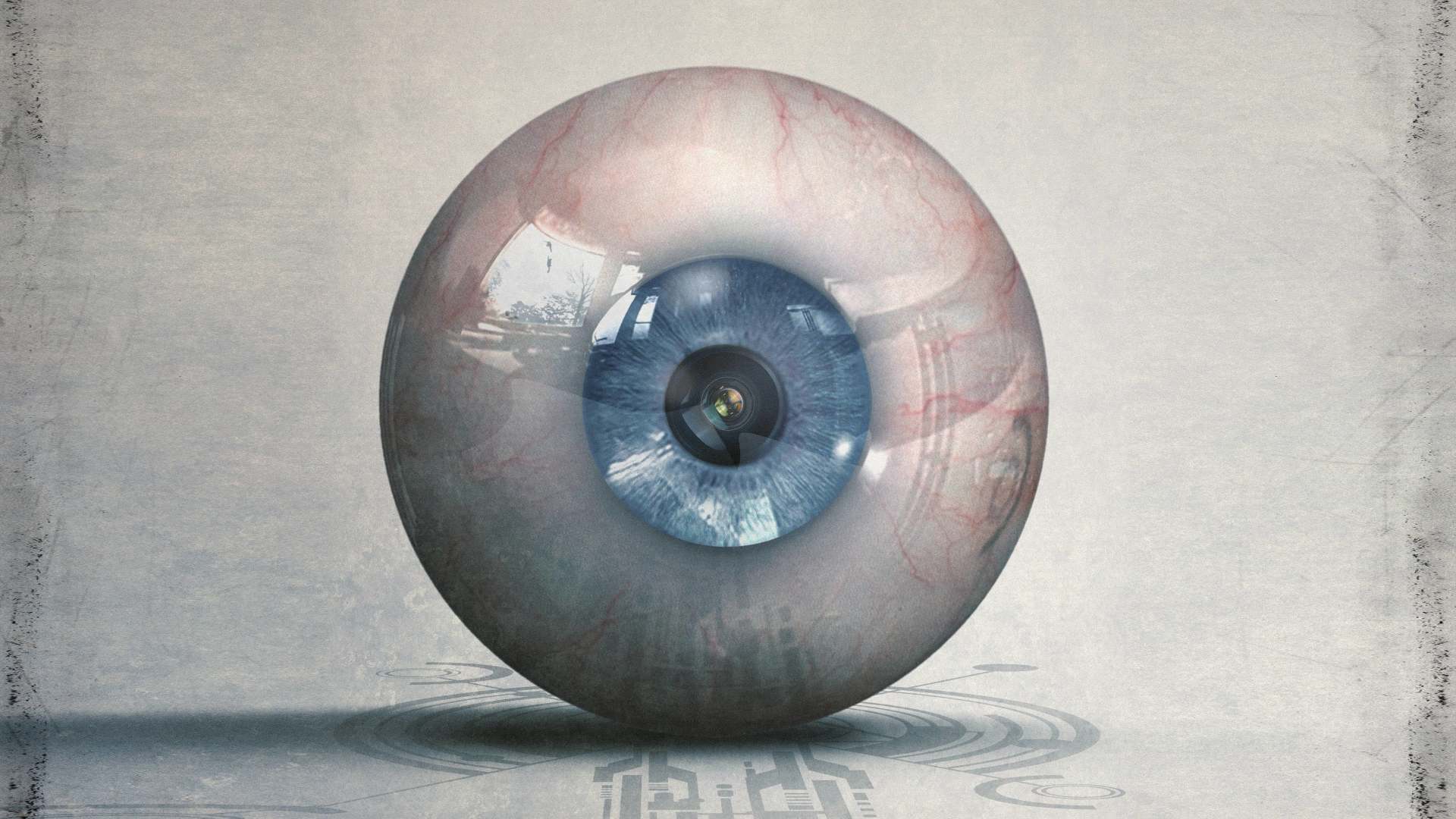 გრეისფილდის ინციდენტი  ქართულად -  The Gracefield Incident