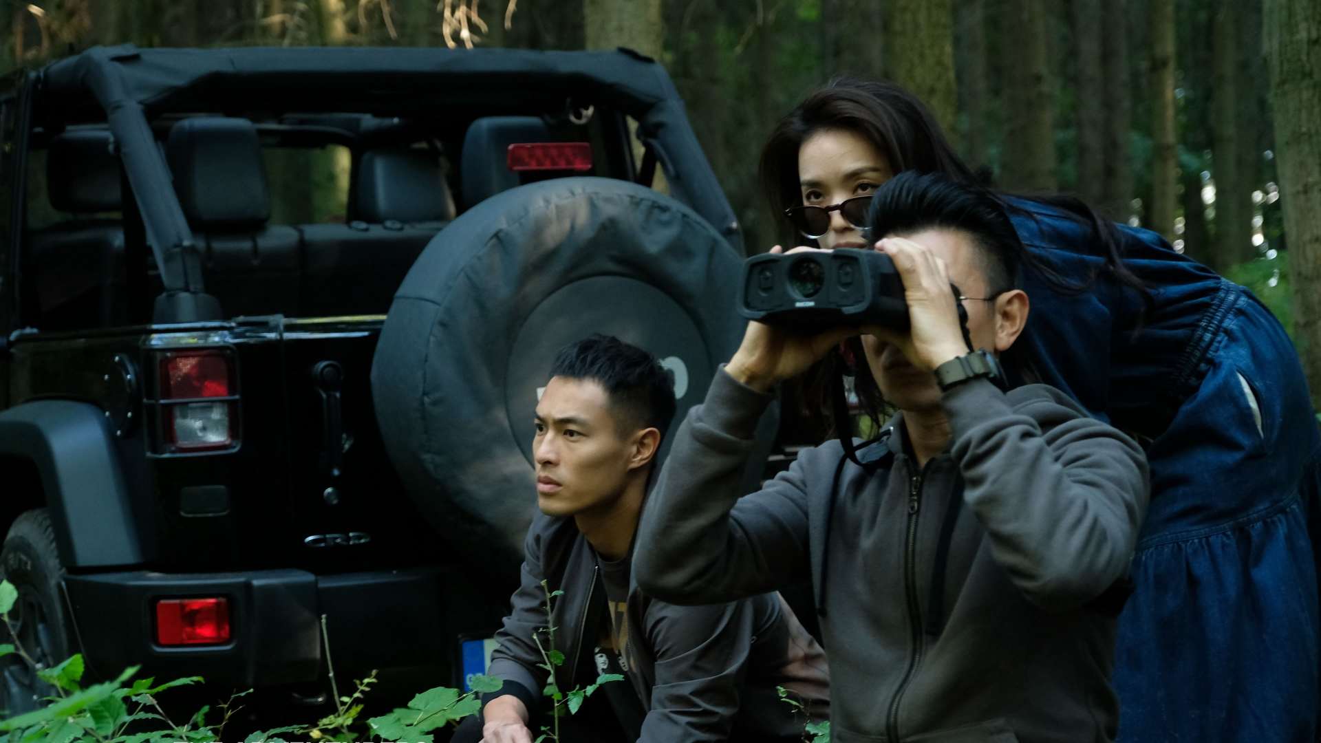 თავგადასავლების მაძიებელნი  ქართულად -  The Adventurers