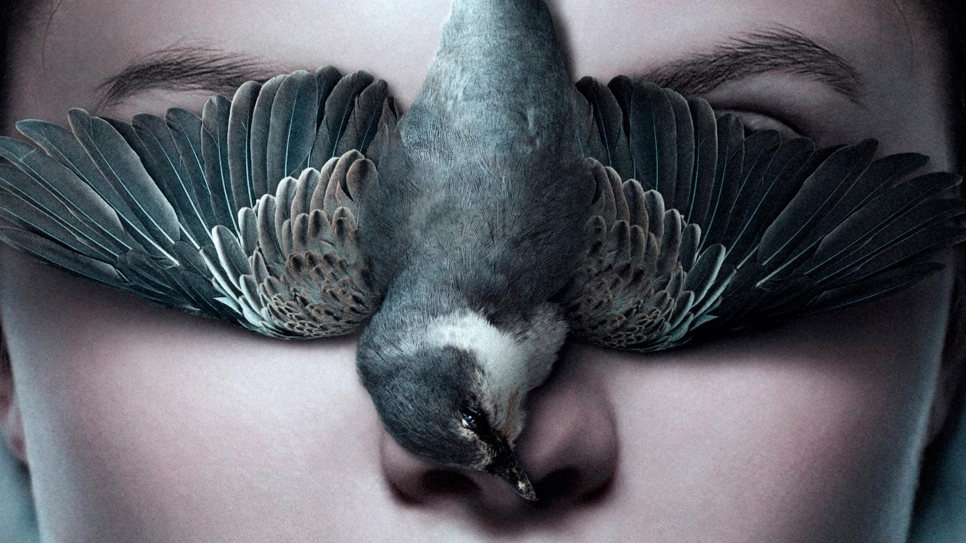 ტელმა  ქართულად -  Thelma