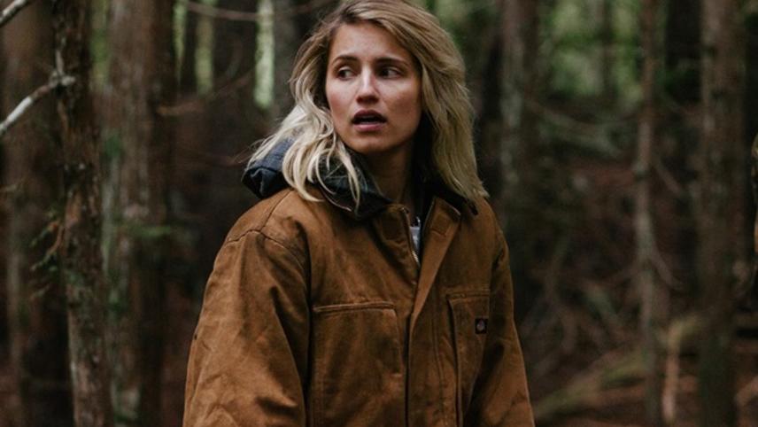 ორმო მიწაში  ქართულად -  Hollow in the Land